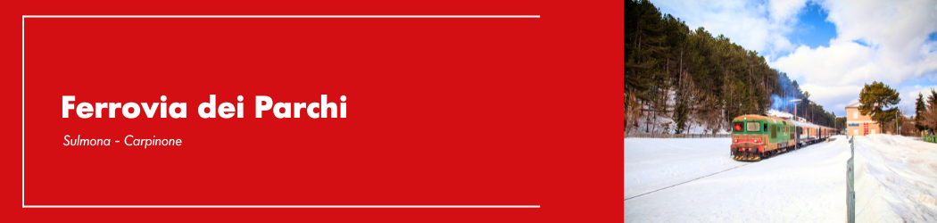 REV Stakeholder (1050 x 250 px) - 39