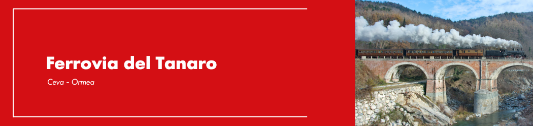 REV Stakeholder (1050 x 250 px) - 25