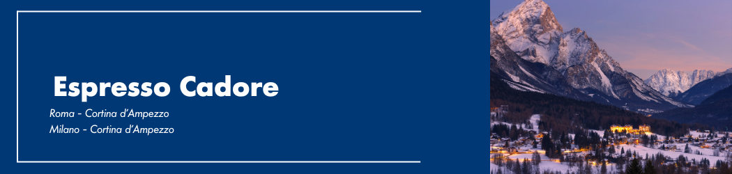 REV Stakeholder (1050 x 250 px) - 14